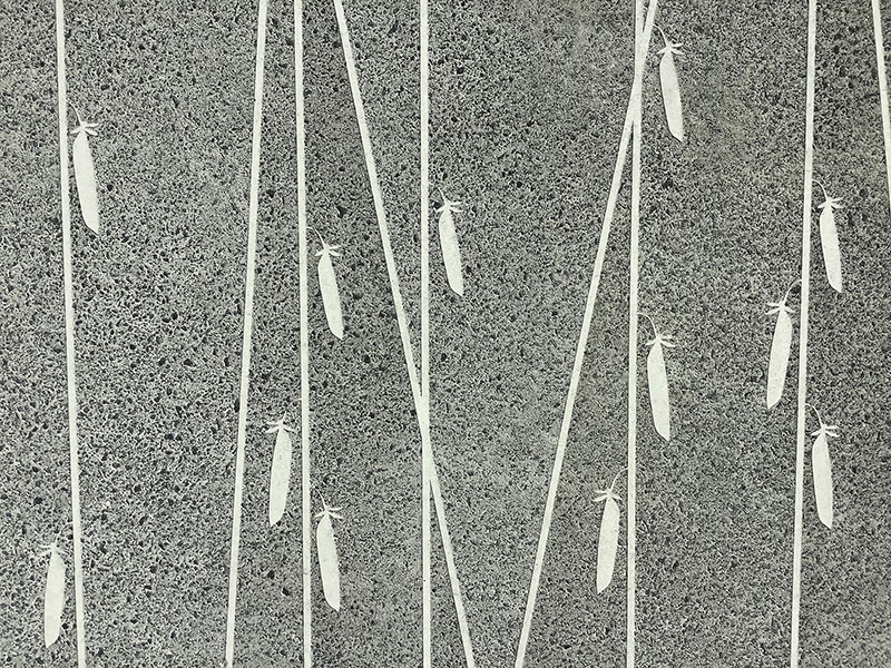 Graphic Concrete Vantaa Herne Residential Building
